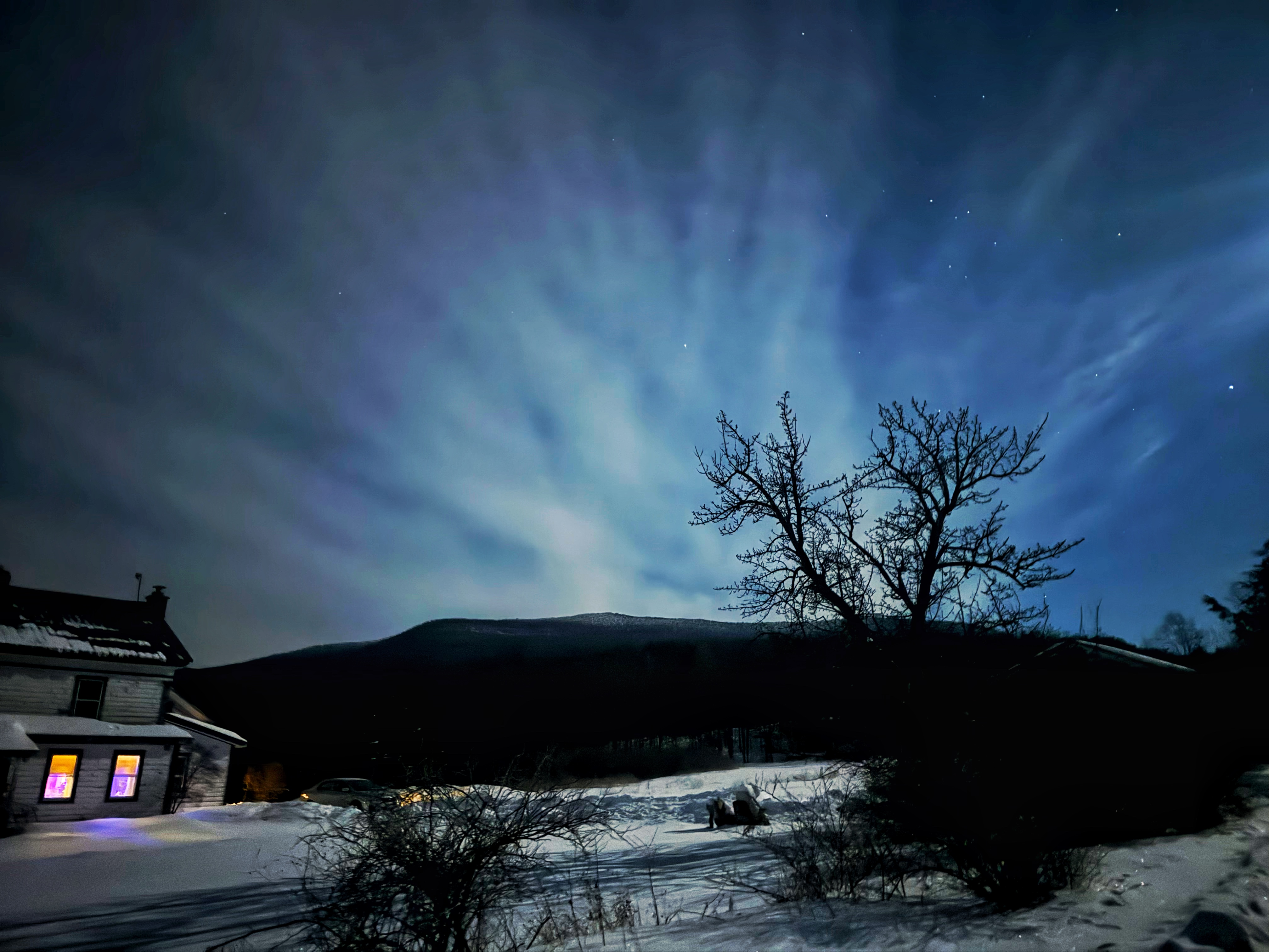 BETTER THAN HEARSAY - Northern Lights & Daffodils